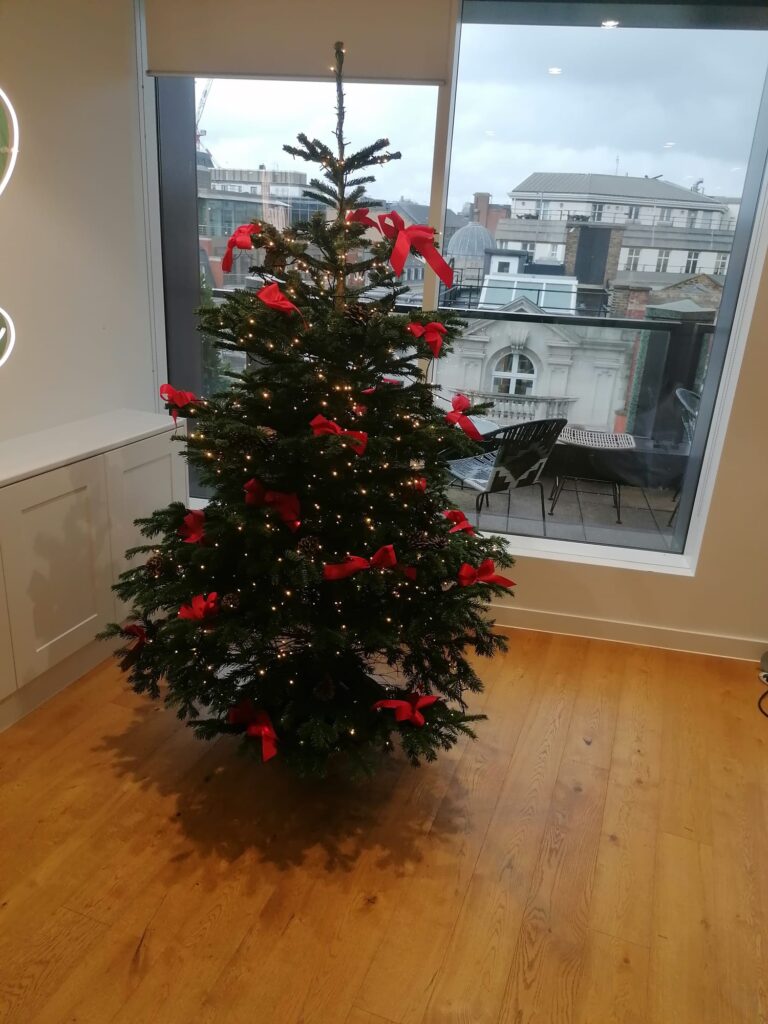 Christmastree-2 Christmastree