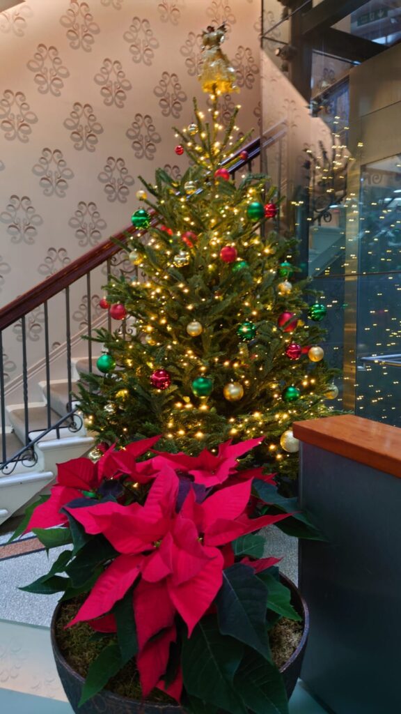 Christmas tree Christmas tree